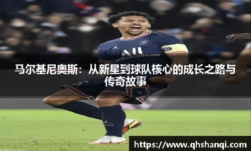 完美体育